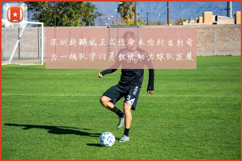 深圳新鹏城正式任命米伦科吉利奇为一线队守门员教练助力球队发展