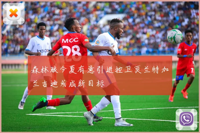 森林狼今夏有意引进控卫莫兰特加兰吉迪或成新目标